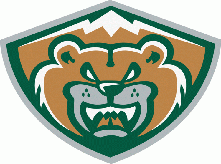 everett silvertips 2012-pres alternate logo v3 iron on transfers for T-shirts